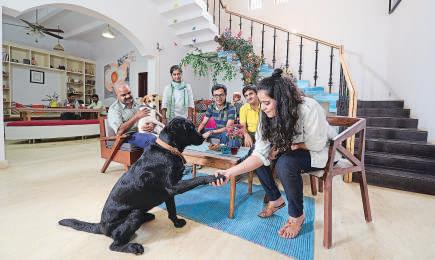 Rise of pet parents sparks scramble for fundraising