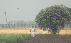 Indo-Pak tensions spark worry over kharif sowing in border areas
