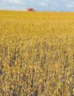China Is Building Megaports in South American Countries to Feed Its Need for Crops