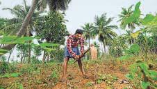 Soon, farmers will be able to test soil in seconds with a handheld device