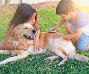 It's Shedding Season