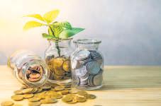 Services and computers drive FDI to record $81 bn in FY25