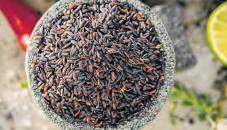 Indian push for 'Buddha rice' exports to Thailand, Vietnam, Singapore