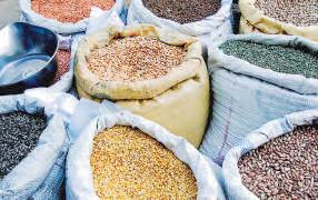 Centre Bets on Productive NE to Boost Pulses Output