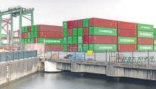 OECD Lowers India Growth to 6.3% in FY26, Projects Global Slowdown