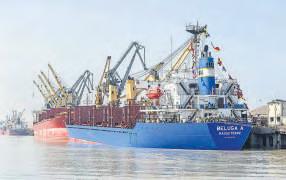 Capital Outflow, Tariffs May Hit CAD in Q4 and Beyond