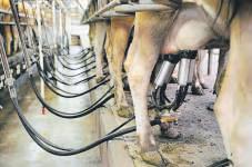 US Guns for Entry in Agri, Dairy, India Pushes Back