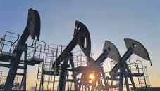 India to lead global oil demand growth, add 1 mn barrels/day by 2030