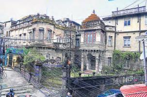 All Tangled Up in Darjeeling