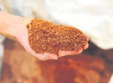 China Is Still Choking Exports of Rare Earths Despite Pact With U.S.