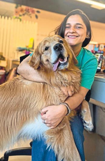 A Pet-Friendly Office Isn't Everyone's Dream