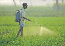 AI Pest Control to be Widened