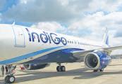 Amsterdam key to Europe, US: IndiGo