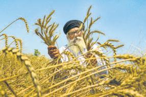 Farm output, green energy funding gets a ₹51k cr boost