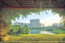 DLF back in Mumbai's luxury realty