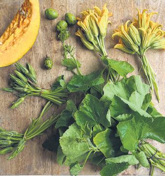 Rains in Goa bring a bounty of wild greens