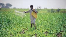 China supply cut gets India to step up specialty fertilizer production