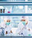 Quality controls on key chemicals from US, China eased
