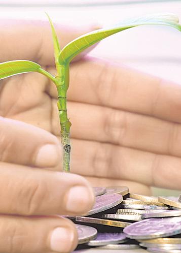 Ratnadeep Retail taps DAM Cap for pre-IPO fundraise