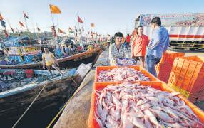 India to build fleet for fishing in China-dominated deep seas