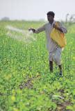 Startups eye specialty fertilizers