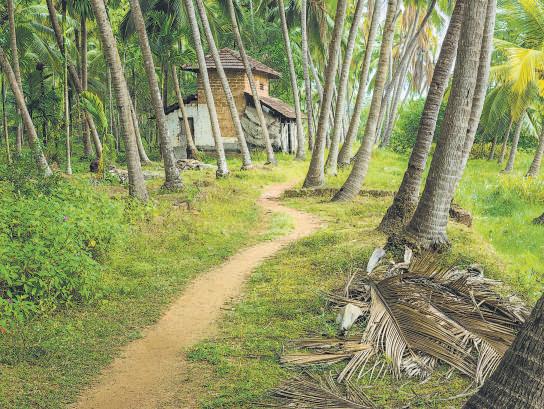 The autobiography of a nomadic family