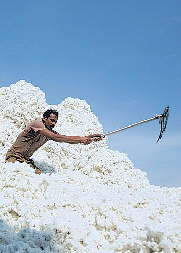 India blinks, nixes cotton import duty in US trade thaw