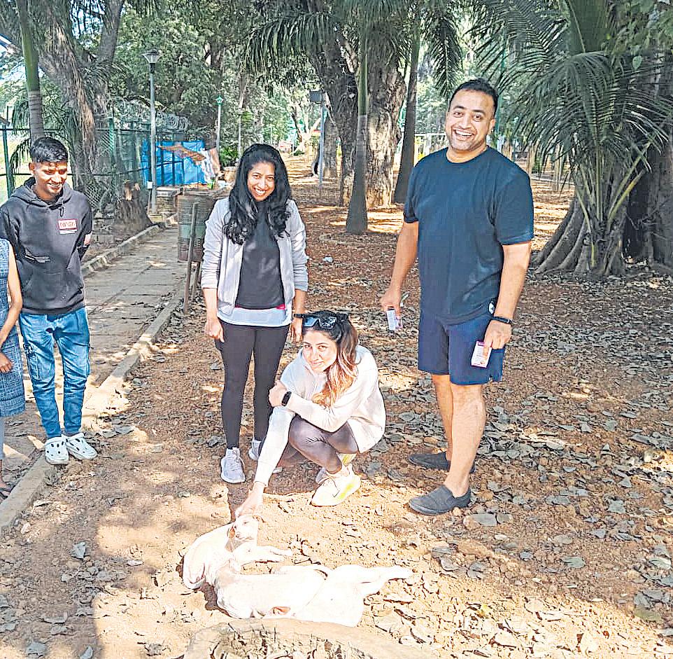 The Way Forward: Managing Dog Numbers Humanely