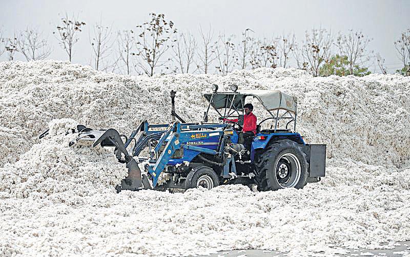 India extends cotton duty waiver to Dec, US to benefit