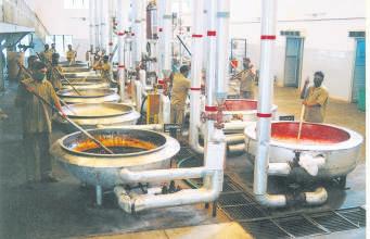 Tweak in biodiversity norms to boost ayurvedic medicine