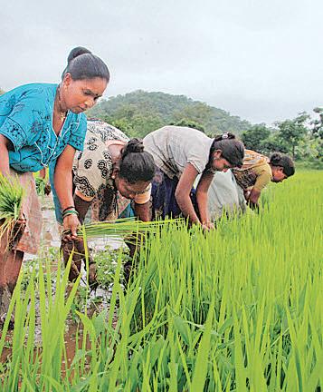 Agri infra fund backs projects worth ₹1.15 trillion