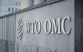 India Under WTO Lens Over Queries on Farm Trade, Sops