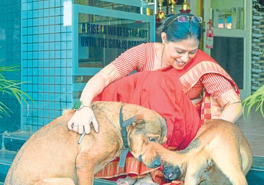 When street dogs, cats bring the office closer