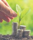 India weighs models to tap $1-tn green funds as 2030 goal nears