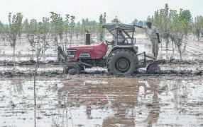 Floods wrecked farms; govt says food prices won't surge