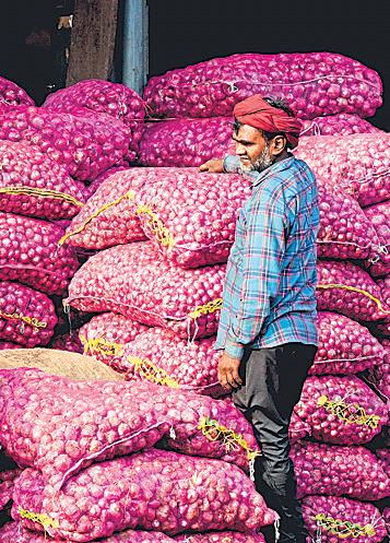 Govt dispatches onion trains to curb prices amid festive demand