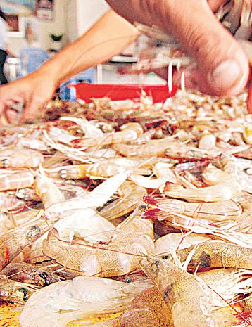 Indian shrimp exporters turn to China after US tariff shock