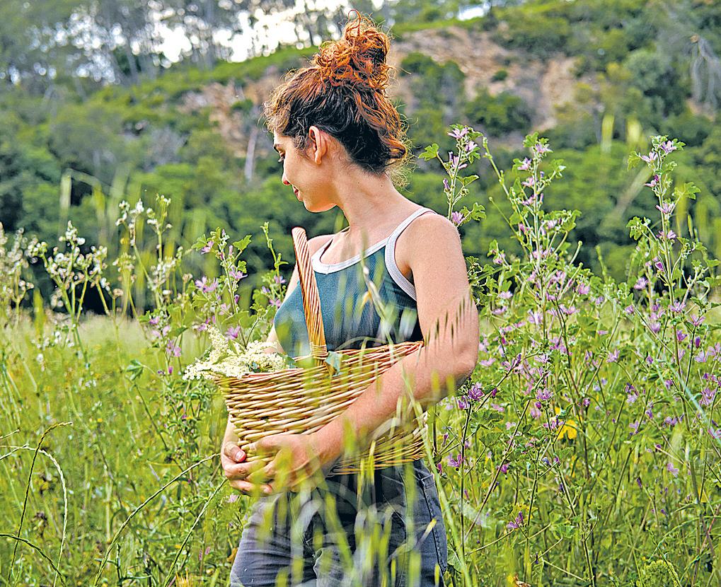 Chefs, foodies look for wild ingredients nobody else has