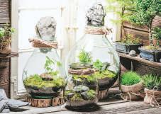 Modern seed hubs to boost crop yields