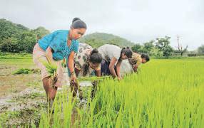 Next-gen reforms to tackle land, women's participation