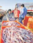 India's seafood wins US nod