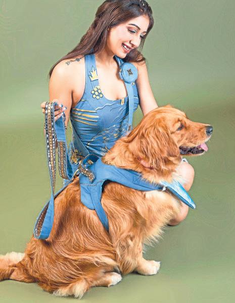 Custom fits for four-legged divas