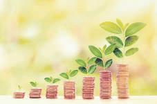 TVS Capital joins the search for AI-powered IT disruptor