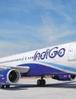 IndiGo eyes more foreign flights as forex losses sting
