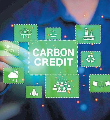 A Jan Van plan could use fintech to democratize carbon trading