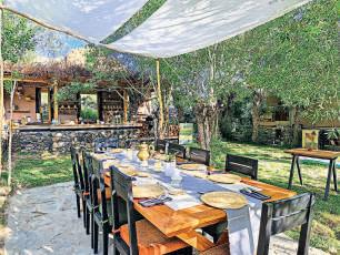 Beyond momos: Tasting Ladakh through small plates