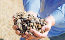 Chinese rare-earth dealers are dodging Beijing’s export curbs