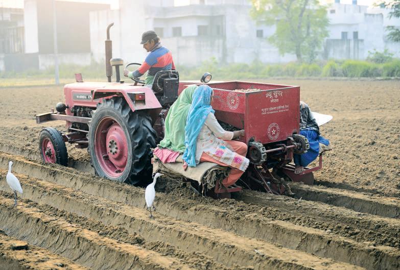 A COMING THAW IN RURAL DEMAND?