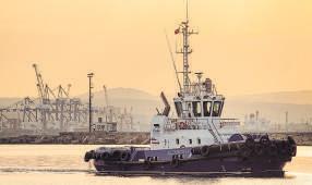 Russian co eyes terminals, shipbuilding push in India