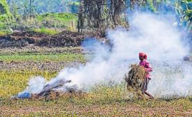Dirty air trick: How farmers outsmart vigil